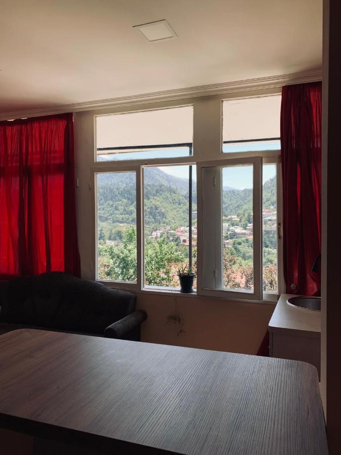 Ano'A Daire Borjomi Dış mekan fotoğraf