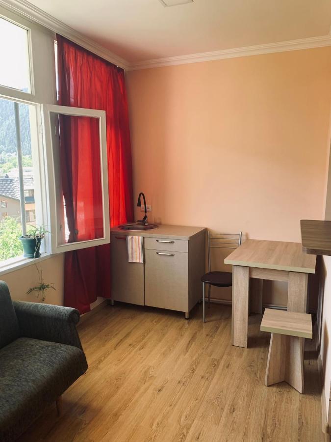 Ano'A Daire Borjomi Dış mekan fotoğraf