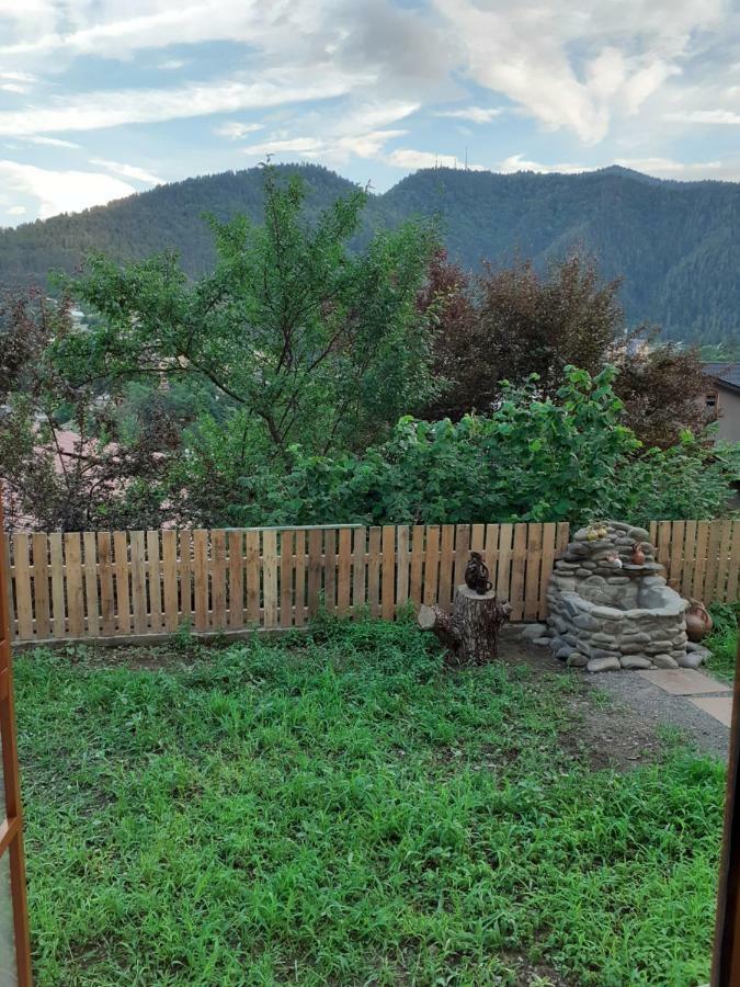 Ano'A Daire Borjomi Dış mekan fotoğraf