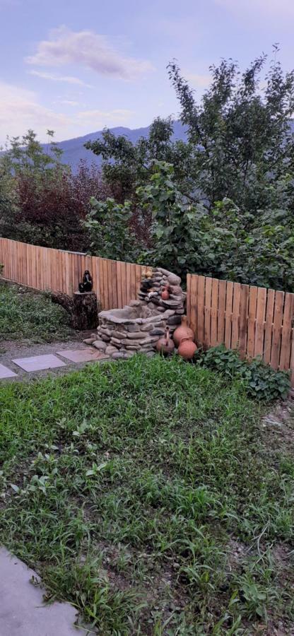 Ano'A Daire Borjomi Dış mekan fotoğraf